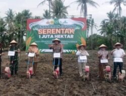Pemkab Lamsel dan Forkopimda Tanam Jagung Serentak 1 Juta hektar