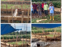 CV. Hanura Jaya Dan Warga Dusun 6 Desa Suka Jaya Bergotong Royong Membangun Mushhola