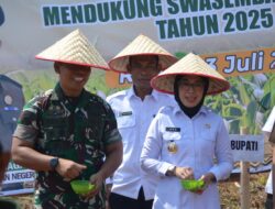 Sinergi Pemkab Way Kanan Dan Kejati Lampung Perkuat Swasembada Pangan Nasional